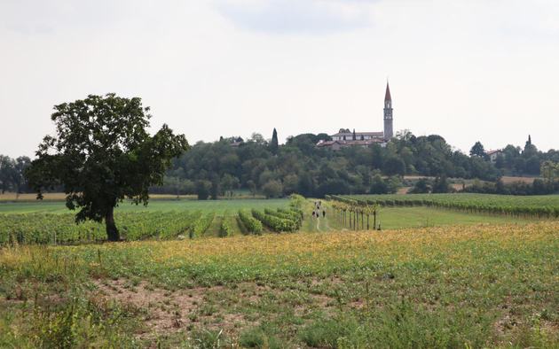 Itinerario "Nelle terre di Cora"